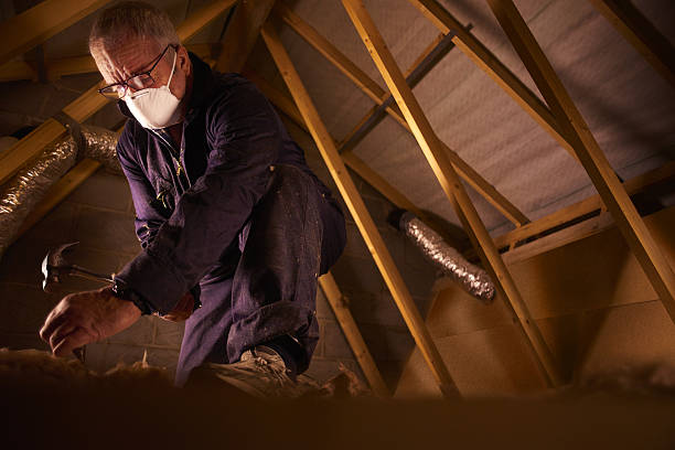 Best Insulation Maintenance and Repair in Childress, TX